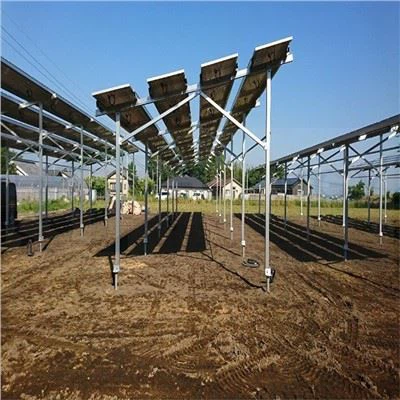 Trang trại năng lượng mặt trời và cơ cấu nông nghiệp