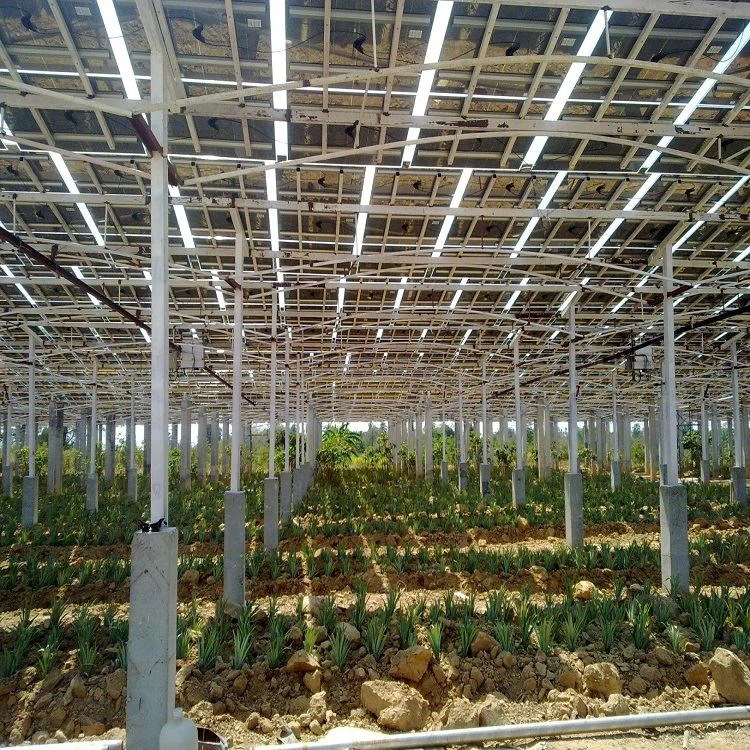 solar farm structure