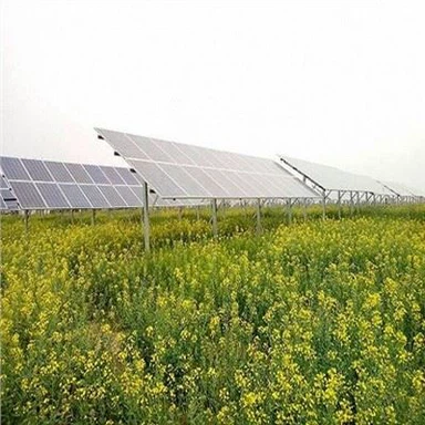 Các cấu trúc gắn kết PV Nông nghiệp