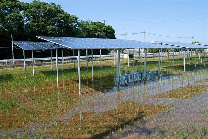Photovoltaic Agriculture Mounting Structure Solar Farm Mounting System