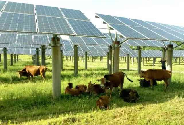 Agrivoltaics Solar Mounting Concrete Base
