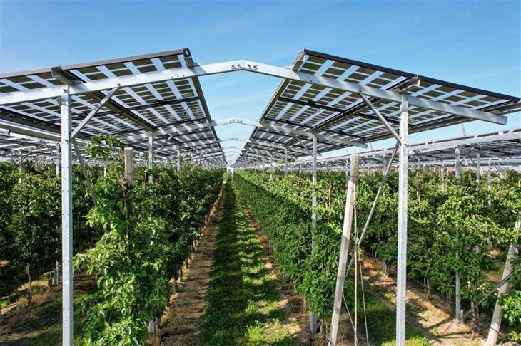 Cost-Effective Agri-PV Mounting Solutions | Lower Installation Costs suppliers