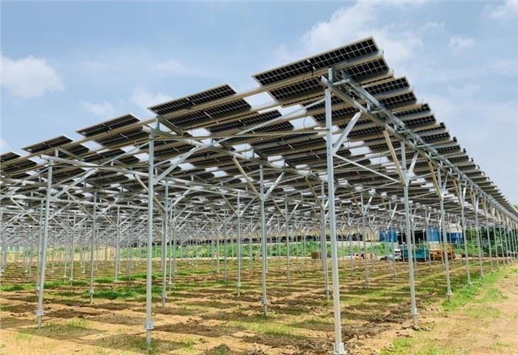 Dual-Use Solar Racks For Farms factory