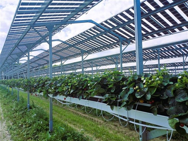 Optimized Solar Mounting Structures For Dual-Use Farming best