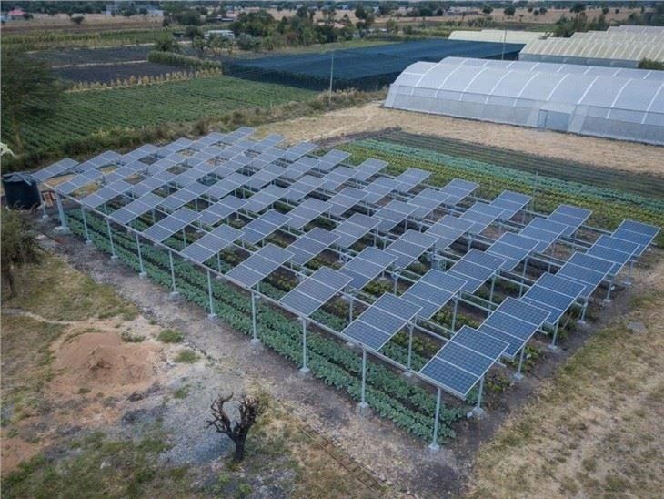 PV Mounting System For Agrivoltaics suppliers